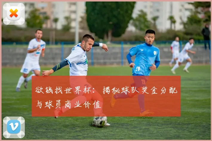 欲钱找世界杯：揭秘球队奖金分配与球员商业价值