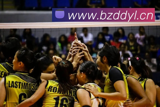 巅峰国标pg官网APP 封面图